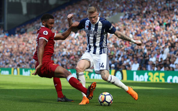 布莱顿队的 布莱顿队的